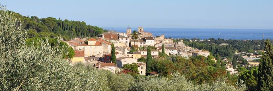 sofdeschaintres's profile banner image