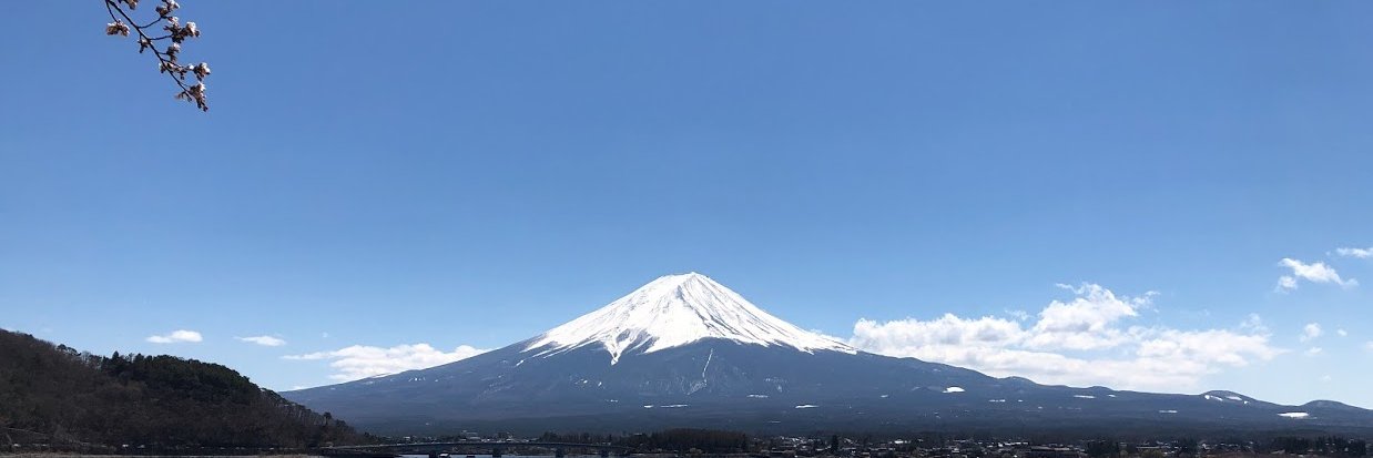 raidenshindow's profile banner image