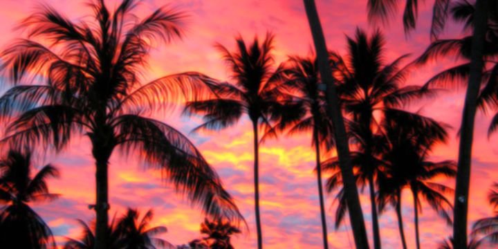 TangiLu_'s profile banner image