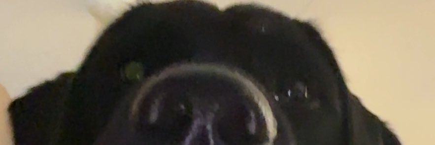 hay_bails___'s profile banner image