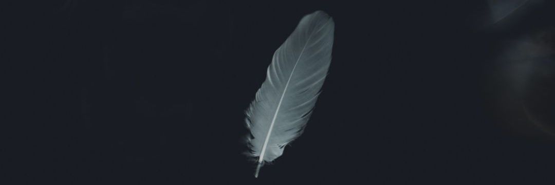 Jonathantuu's profile banner image