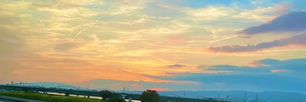 lea___113's profile banner image