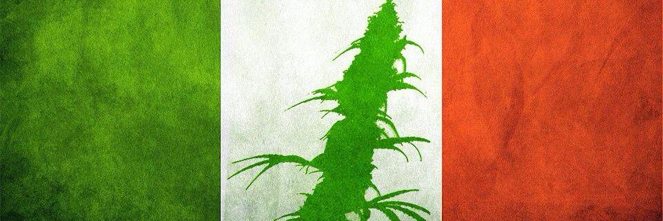 david_ansyah's profile banner image