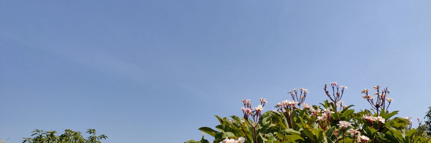 Annanilus's profile banner image