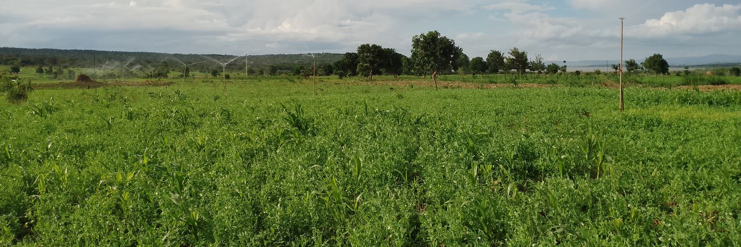 wiyagara's profile banner image