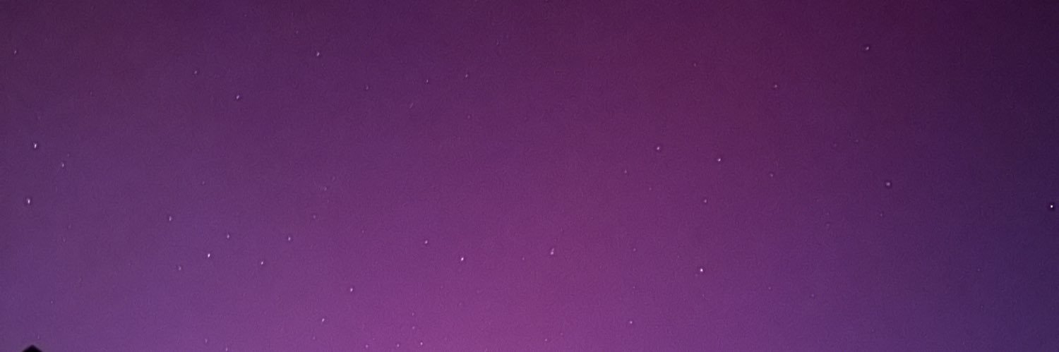 bella_bachman's profile banner image