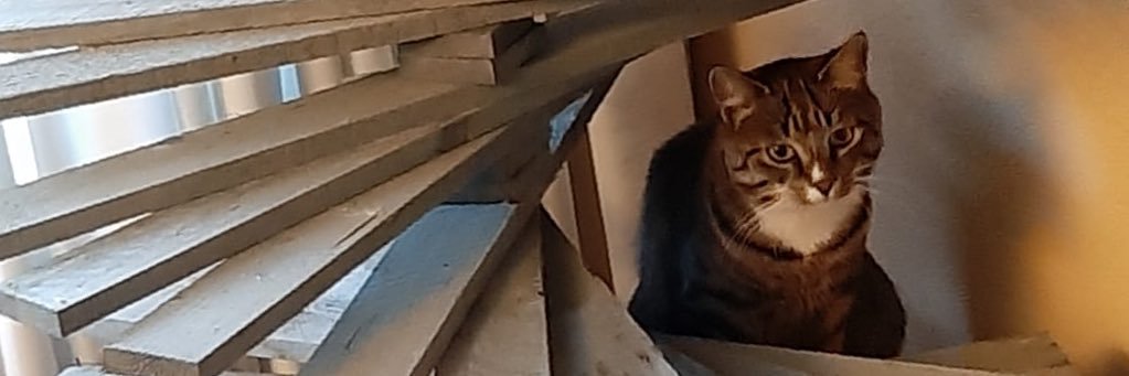 wimpeijs's profile banner image