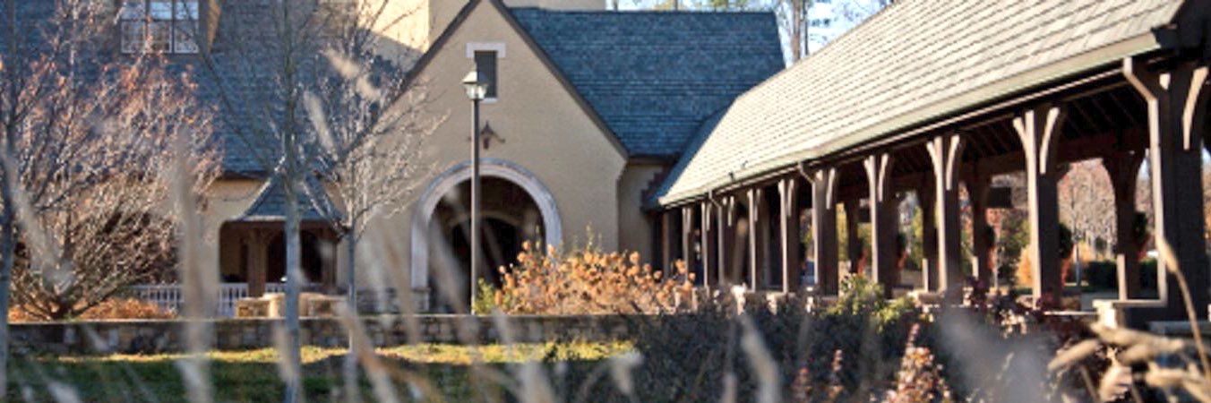 Lauren Darden banner