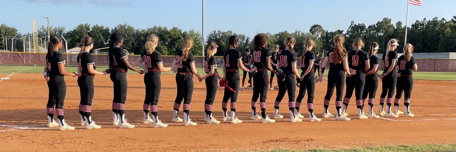 SCHS Softball banner