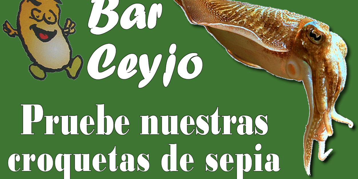barceyjo's profile banner image