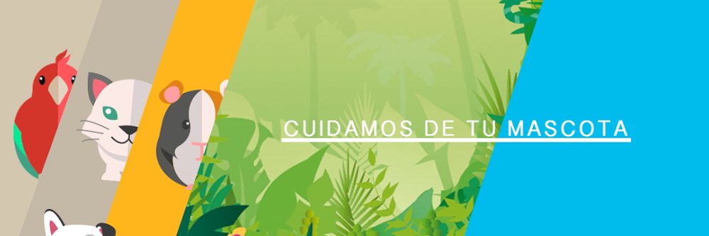 FaunAnimal's profile banner image