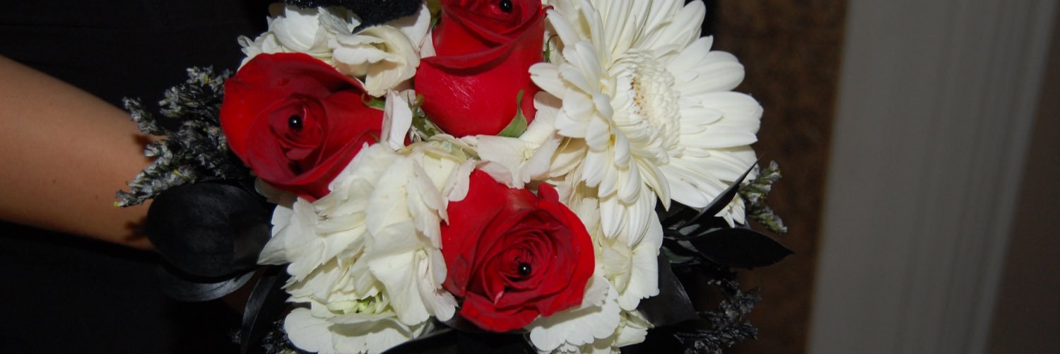 DitzelEmily's profile banner image