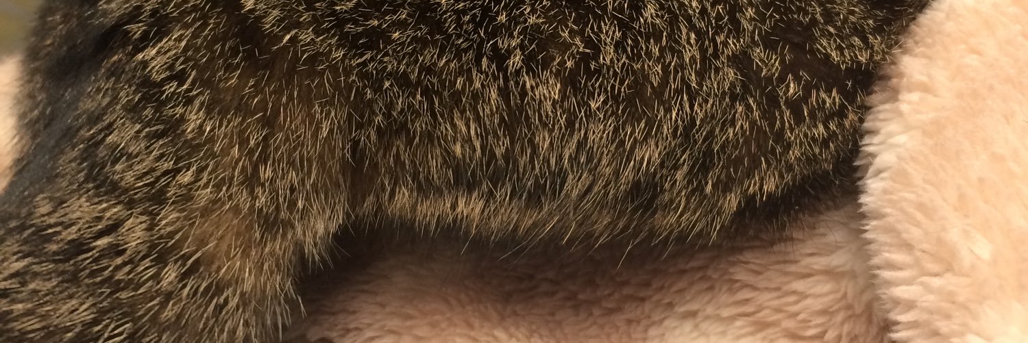 uzm_sn12's profile banner image