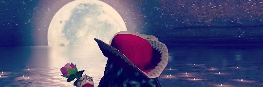 metghaly's profile banner image