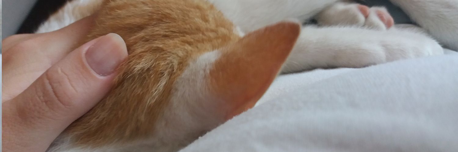 jonida91's profile banner image
