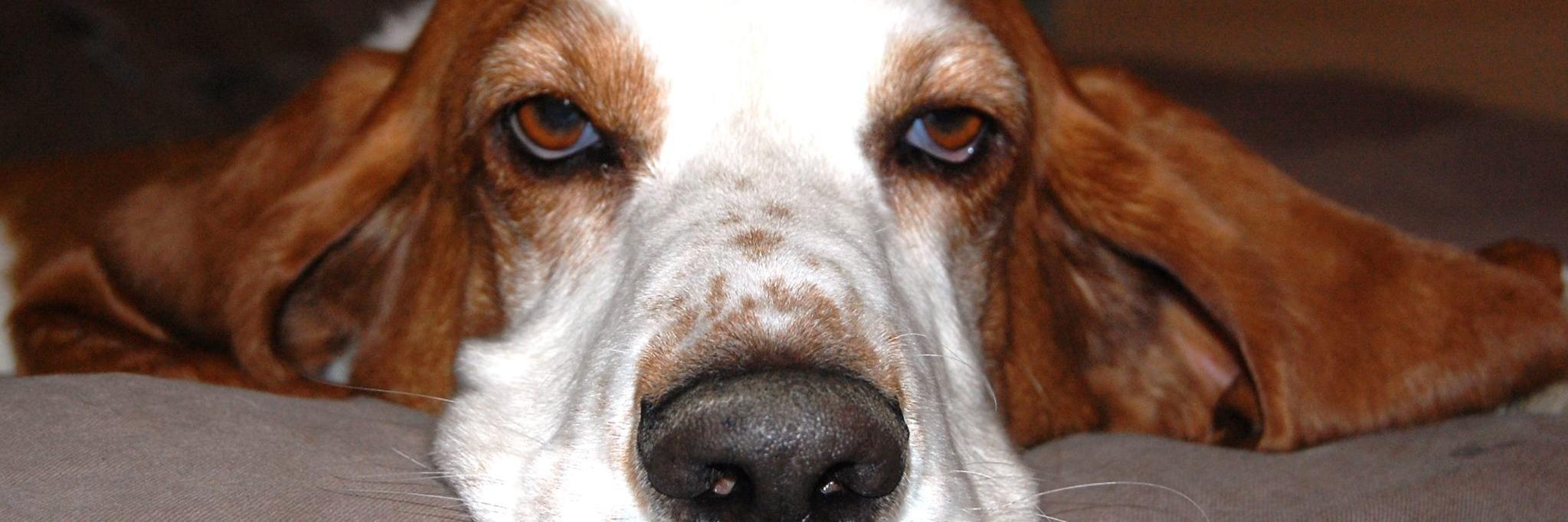 chonk34's profile banner image