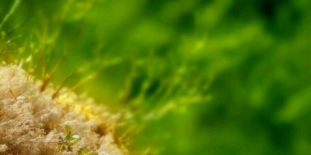 kevin_baugh's profile banner image