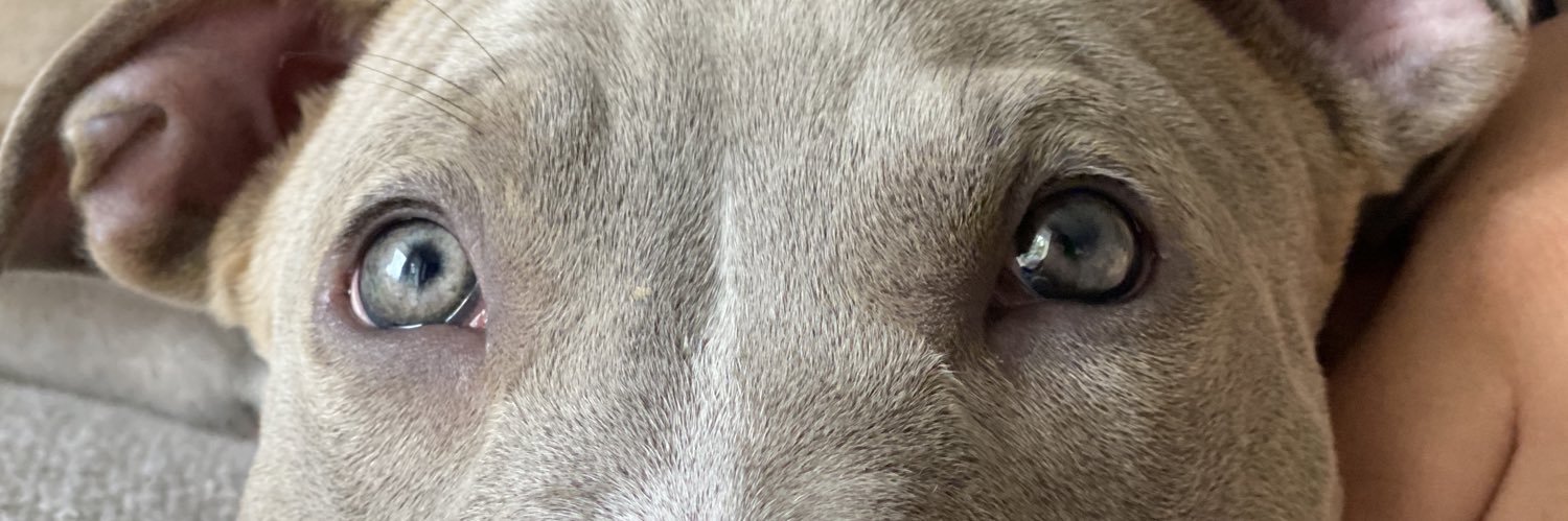 jxo_24's profile banner image