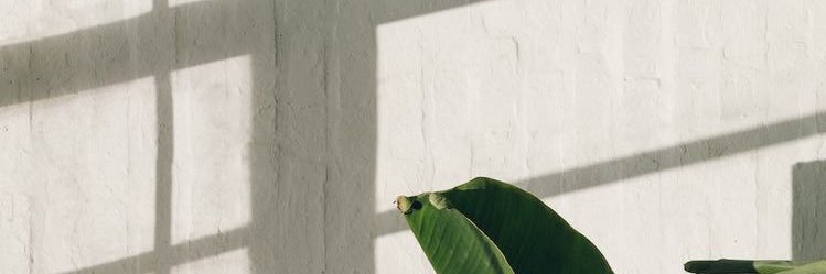 ฉ่อย banner