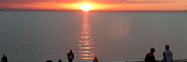 activeswale Profile Banner