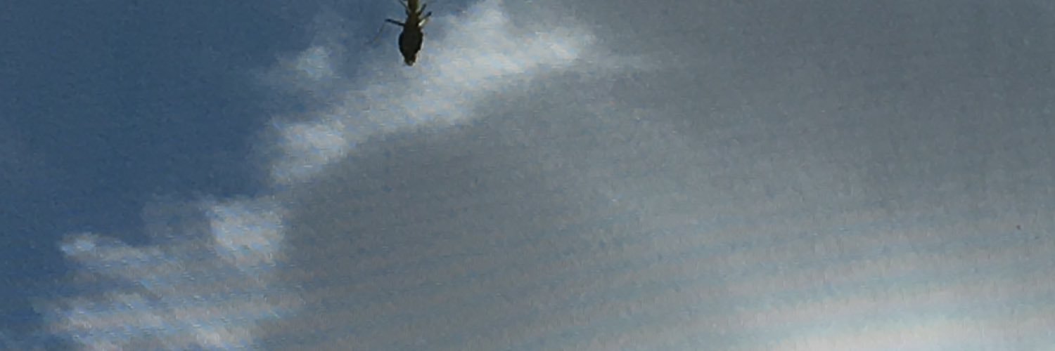 ケロマーゾフの兄弟's banner