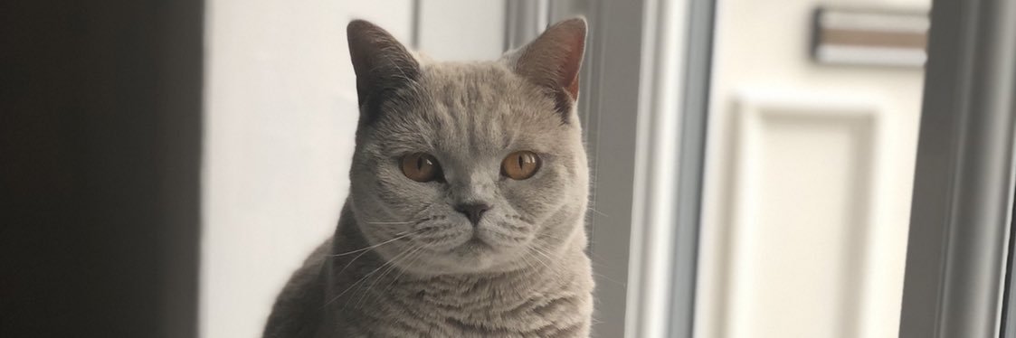 pinkyawn's profile banner image