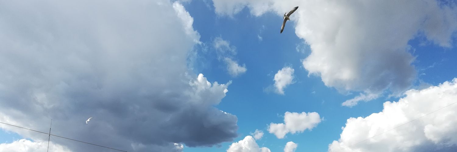 artliteram's profile banner image