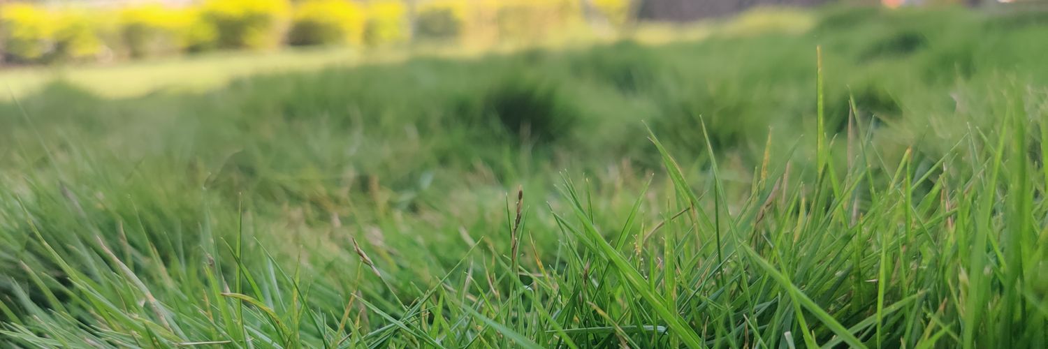 kcnking's profile banner image