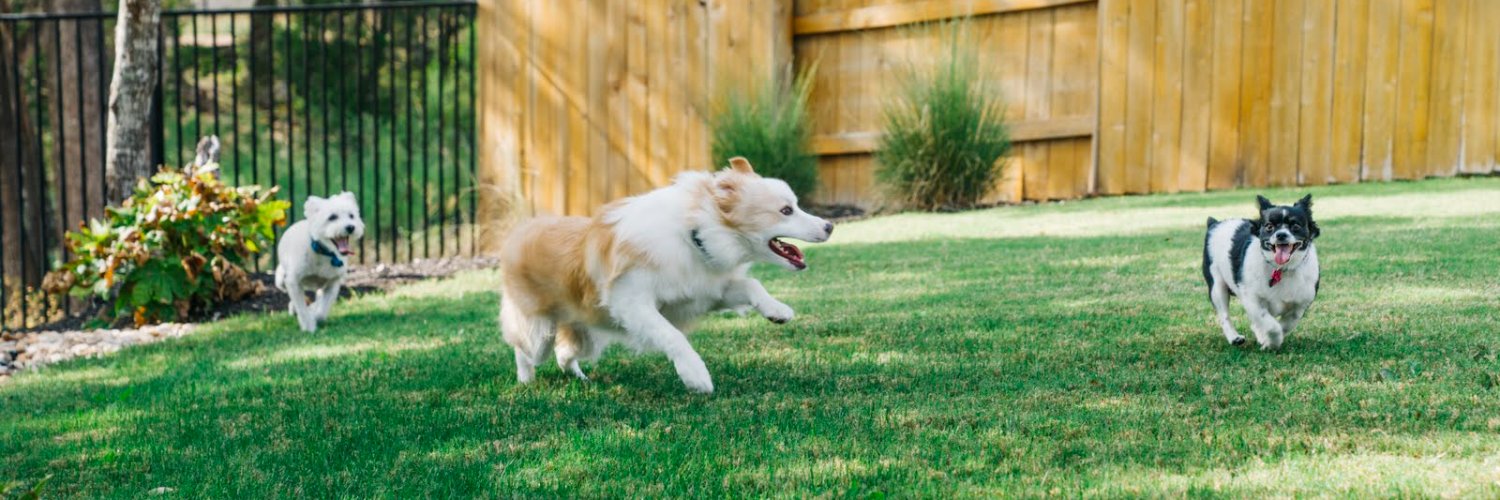 Cameron DeJong banner