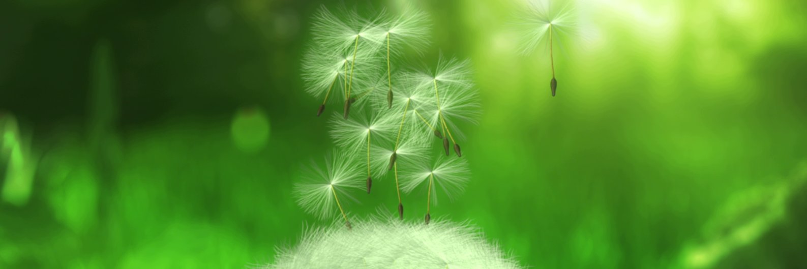 PRrooms's profile banner image