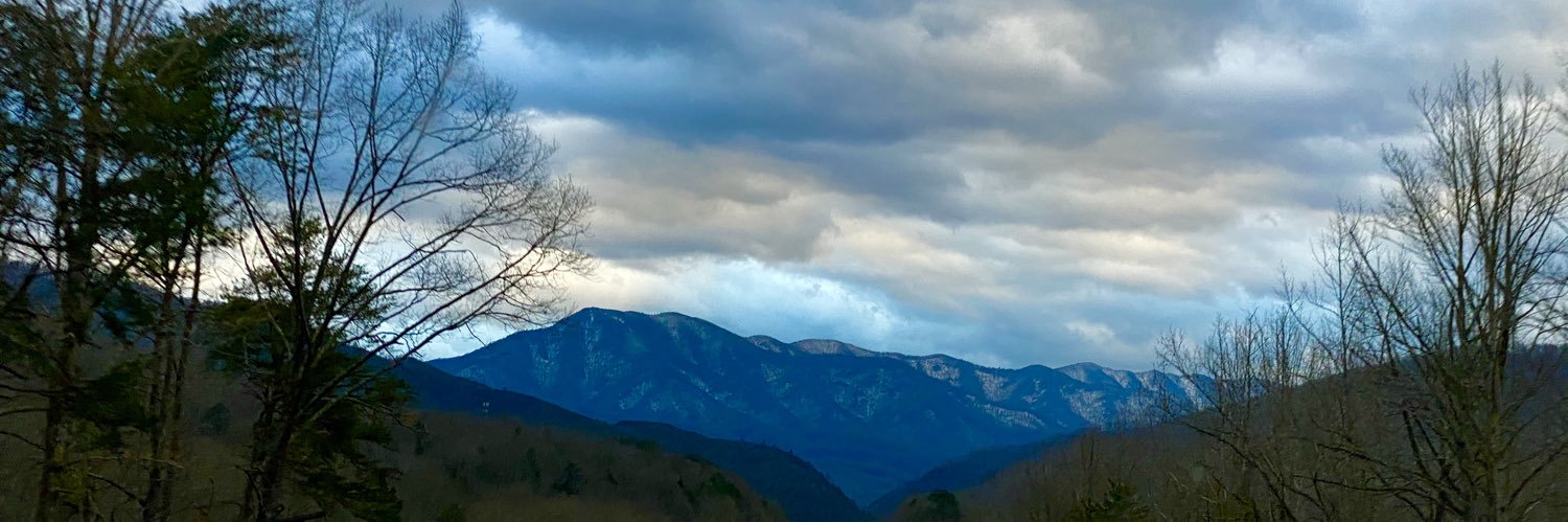 Patricia Strong banner