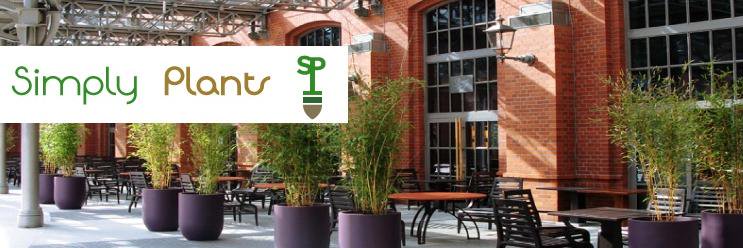 SimplyPlantsuk's profile banner image