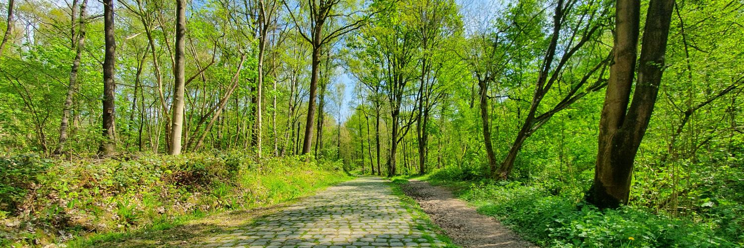 Vincent Holvoet banner