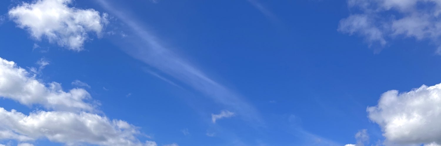 Gazal Amini banner