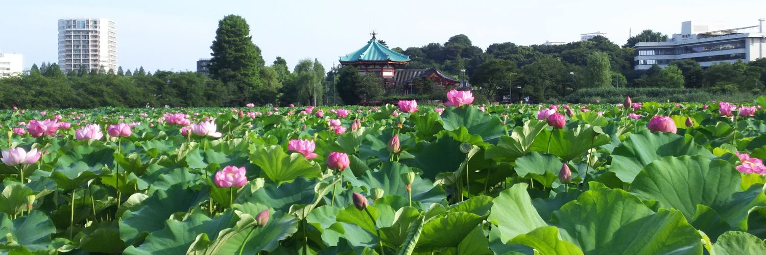 himanokenzin's profile banner image
