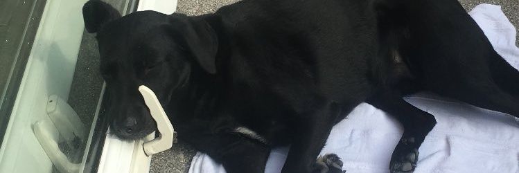 sxllivan's profile banner image