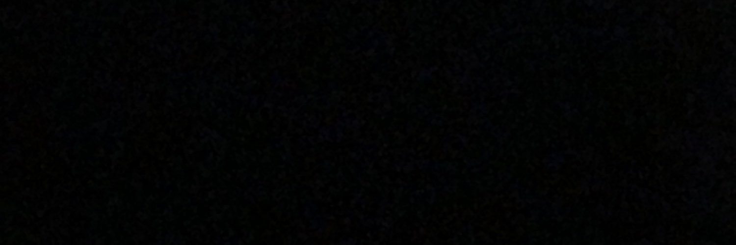 manicottimania's profile banner image