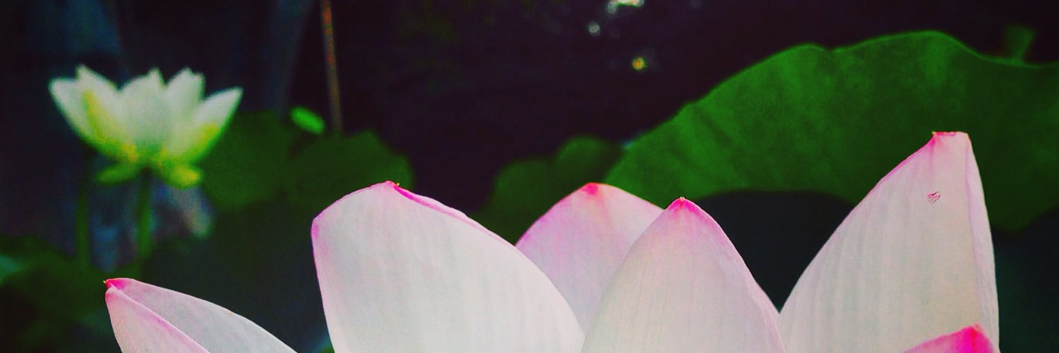 BomCarma's profile banner image