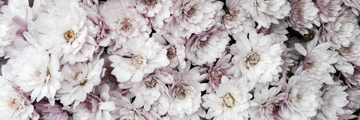 HelenaLeFur's profile banner image