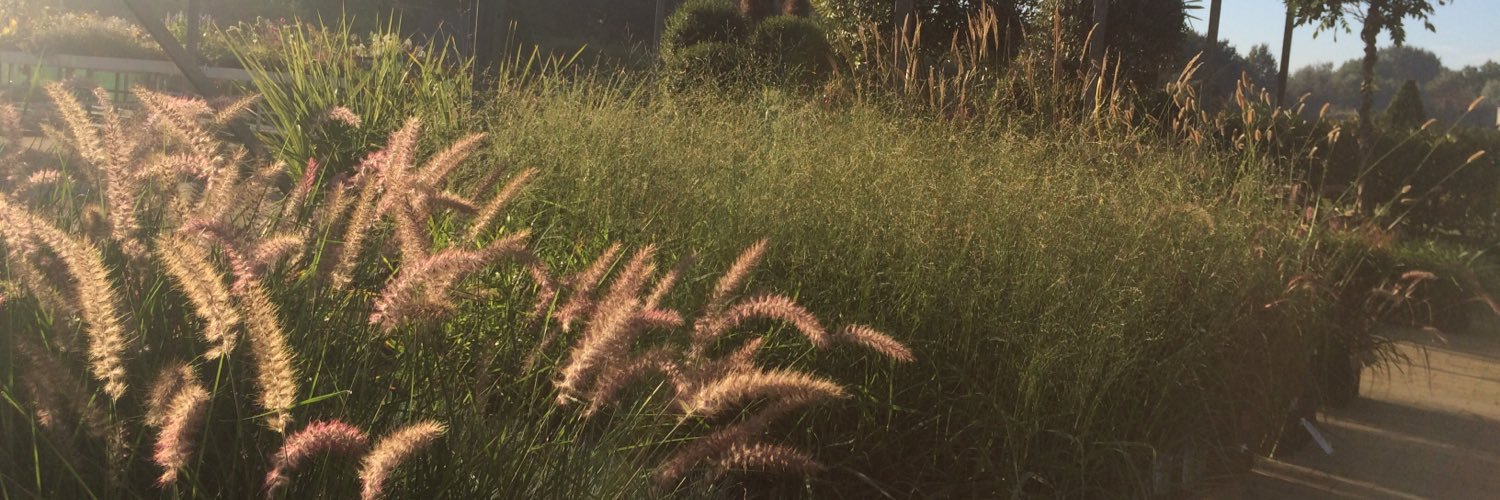 GreenSalesDE's profile banner image