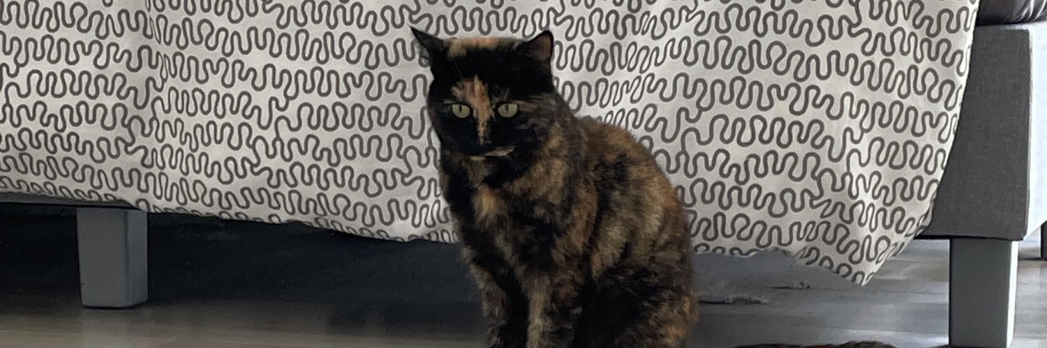 SimperlLouise's profile banner image