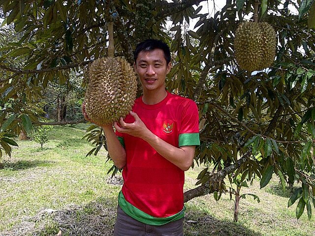 Fril_Yanto's profile banner image