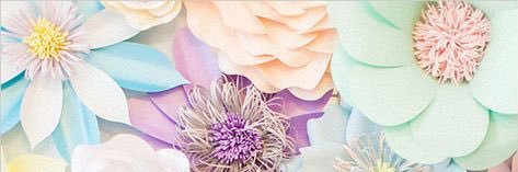 Doortjedeboer's profile banner image