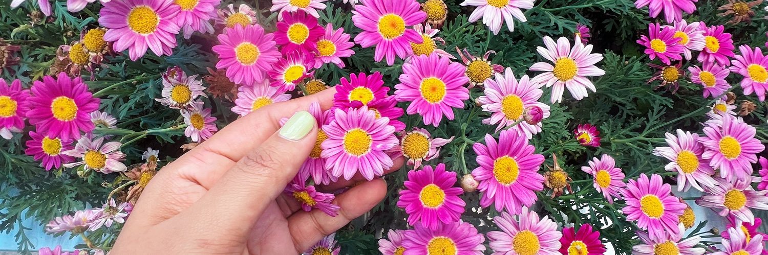 jassiesss🥀🍃 banner