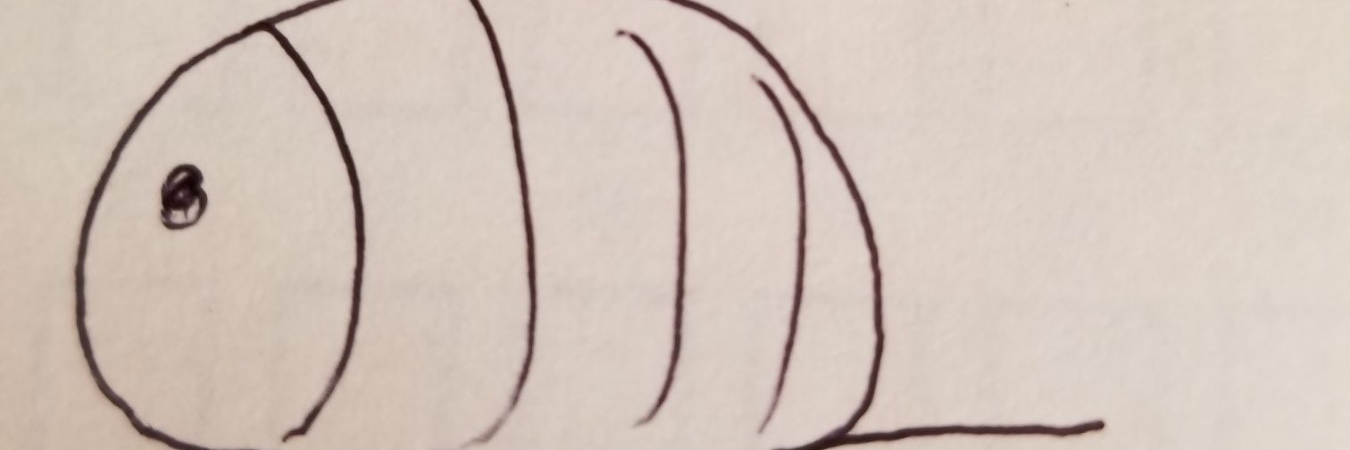 02chanma02's profile banner image