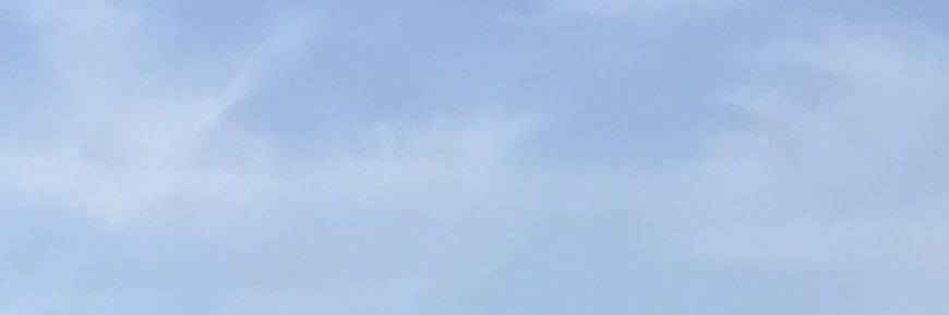 susan smith banner
