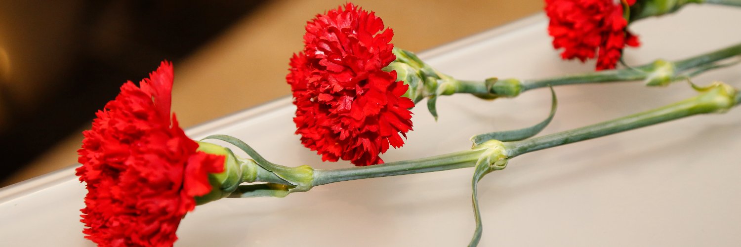 fernanda_mendes's profile banner image
