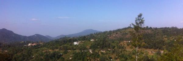 Dr Alice Chadwick El-Ali banner