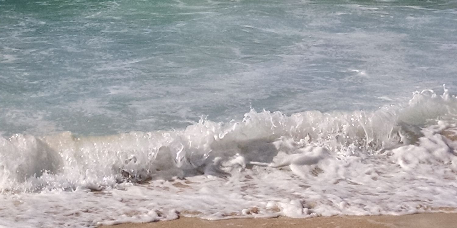 cescott2932's profile banner image