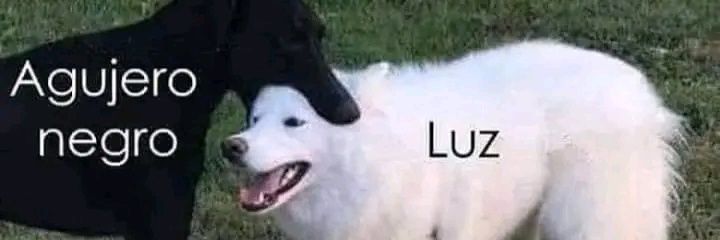 ylharn's profile banner image